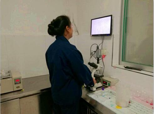 我是小杜，元芳，你怎么看？