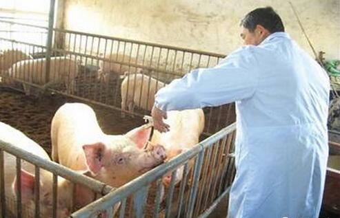 地塞米松是电子游艺网站
常备药，但这8种情况不能用！