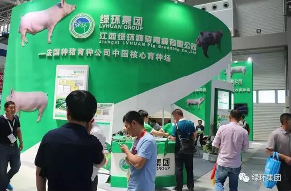 畜牧人的青岛，绿环人的青岛：畜博展满载而归！