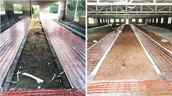 站在风口：猪都要装地暖——记空气能采暖设备在电子游艺网站
的应用