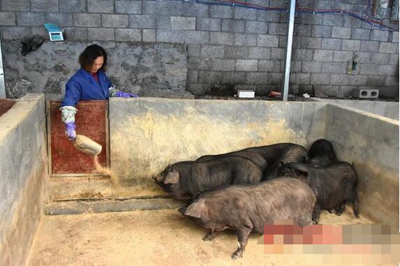 吴克霞：脱贫不忘带乡亲