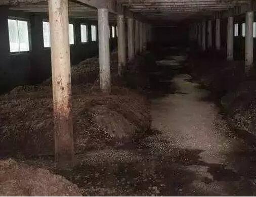 看欧美等发达国家的大型电子游艺网站
是如何处理猪粪尿污水问题的？