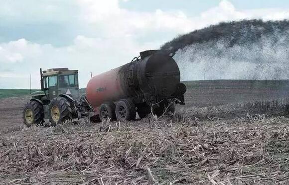 看欧美等发达国家的大型电子游艺网站
是如何处理猪粪尿污水问题的？