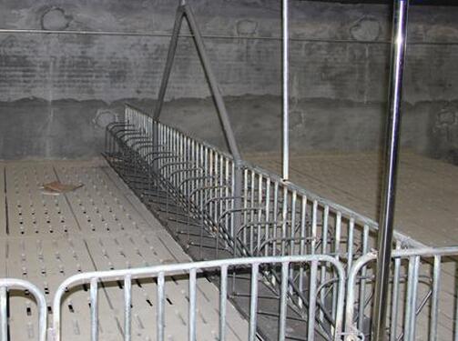 养猪人如何选择饲喂设备？这些优缺点你得把握好