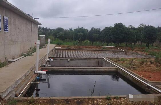 探秘！这家300多头的母电子游艺网站
，处理后的沼液水能直接养鱼