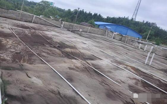 探秘！这家300多头的母电子游艺网站
，处理后的沼液水能直接养鱼