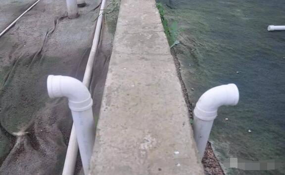 探秘！这家300多头的母电子游艺网站
，处理后的沼液水能直接养鱼