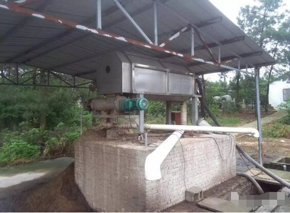 探秘！这家300多头的母电子游艺网站
，处理后的沼液水能直接养鱼