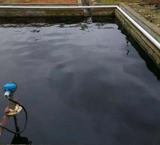 探秘！这家300多头的母电子游艺网站
，处理后的沼液水能直接养鱼