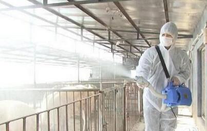 你的电子游艺网站
如何做卫生防疫？必须要有健全的防疫制度！