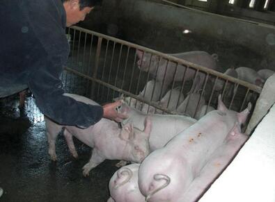 你的电子游艺网站
如何做卫生防疫？必须要有健全的防疫制度！