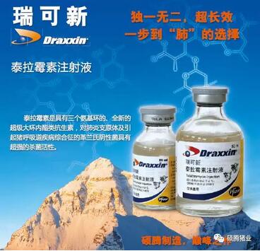 猪病福音:史上最强的抗生素组合助你养猪不求人!!!