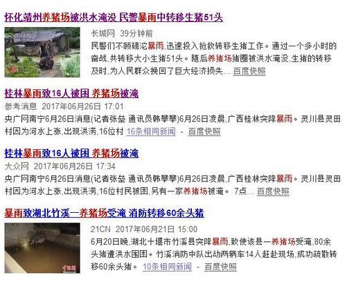 暴雨来袭，电子游艺网站
损失惨重！养猪人得这么做才能……