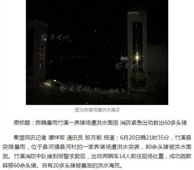 暴雨来袭，电子游艺网站
损失惨重！养猪人得这么做才能……