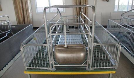 养猪：建设一个现代化养殖场须购哪些设备？想当老板怎能不看！