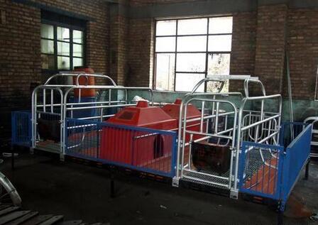 养猪：建设一个现代化养殖场须购哪些设备？想当老板怎能不看！