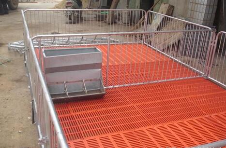 养猪：建设一个现代化养殖场须购哪些设备？想当老板怎能不看！