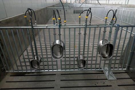 养猪：建设一个现代化养殖场须购哪些设备？想当老板怎能不看！