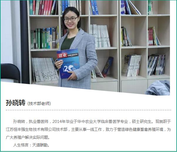 夏季母猪返情怎么办?