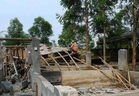 小养电子游艺网站
卖猪常吃亏，只是行情的问题吗？