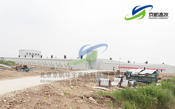 京鹏环宇畜牧客户走进北欧农庄及丹育种电子游艺网站
