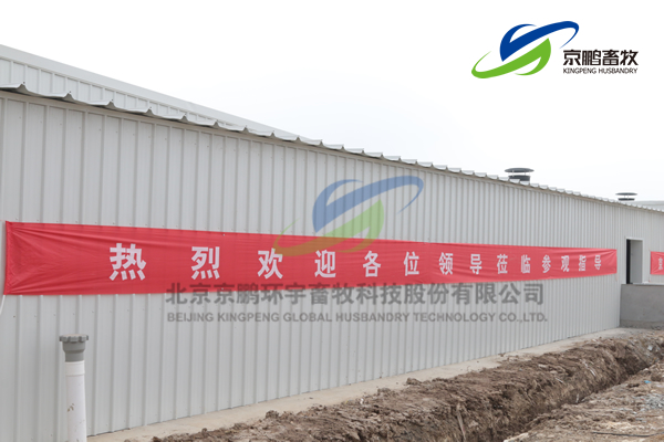 京鹏环宇畜牧客户走进北欧农庄及丹育种电子游艺网站
