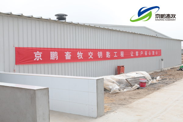 京鹏环宇畜牧客户走进北欧农庄及丹育种电子游艺网站
