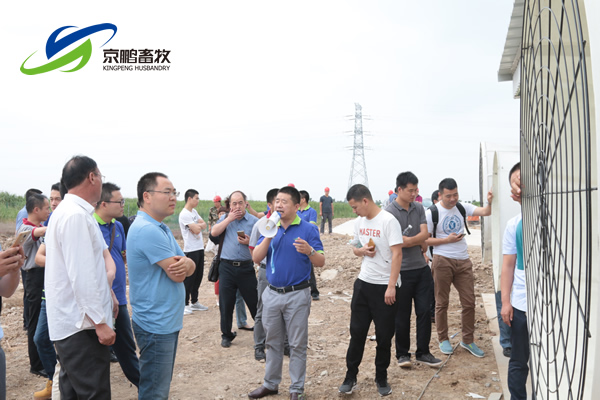 京鹏环宇畜牧客户走进北欧农庄及丹育种电子游艺网站
