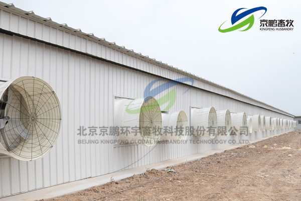 京鹏环宇畜牧客户走进北欧农庄及丹育种电子游艺网站
