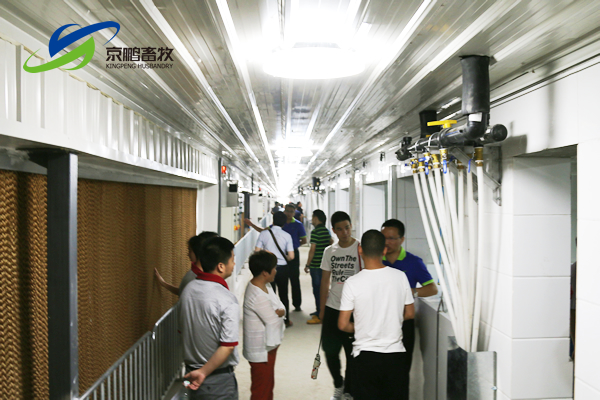 京鹏环宇畜牧客户走进北欧农庄及丹育种电子游艺网站
