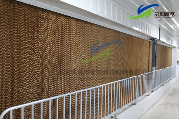 京鹏环宇畜牧客户走进北欧农庄及丹育种电子游艺网站
