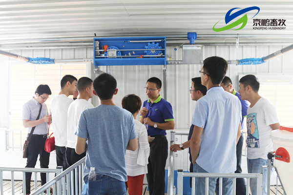 京鹏环宇畜牧客户走进北欧农庄及丹育种电子游艺网站
