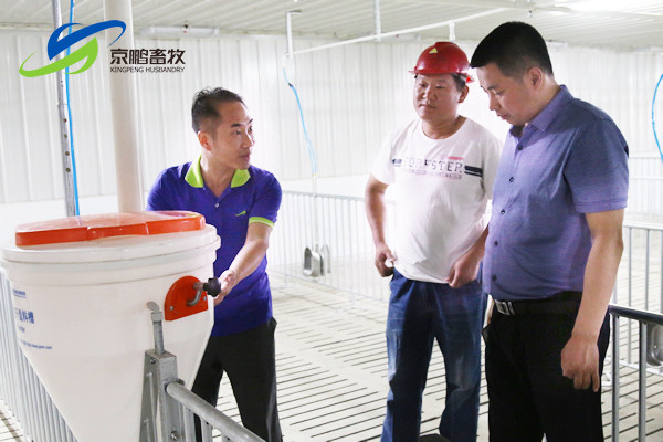 京鹏环宇畜牧客户走进北欧农庄及丹育种电子游艺网站
