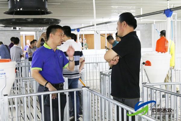 京鹏环宇畜牧客户走进北欧农庄及丹育种电子游艺网站
