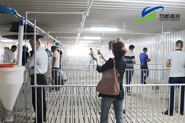 京鹏环宇畜牧客户走进北欧农庄及丹育种电子游艺网站
