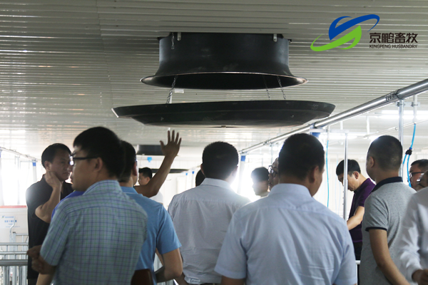 京鹏环宇畜牧客户走进北欧农庄及丹育种电子游艺网站
