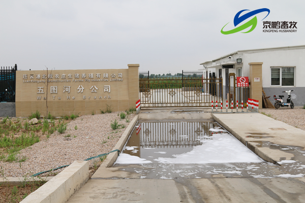 京鹏环宇畜牧客户走进北欧农庄及丹育种电子游艺网站
