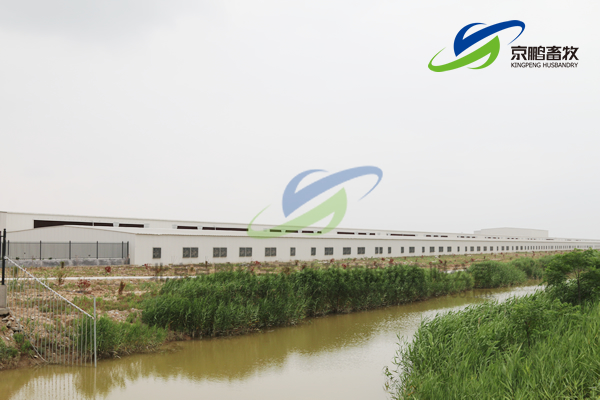 京鹏环宇畜牧客户走进北欧农庄及丹育种电子游艺网站
