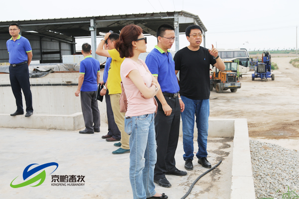 京鹏环宇畜牧客户走进北欧农庄及丹育种电子游艺网站
