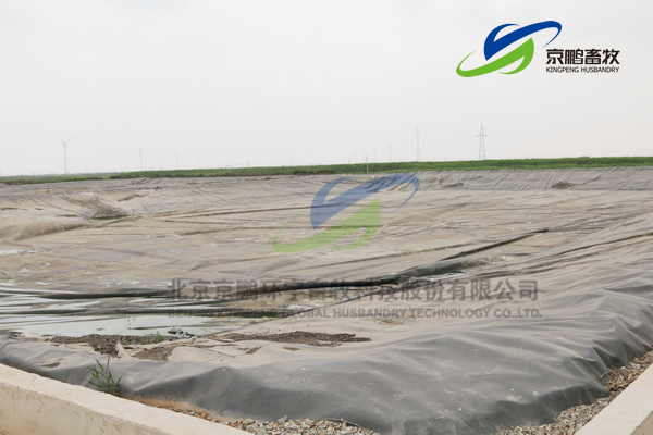 京鹏环宇畜牧客户走进北欧农庄及丹育种电子游艺网站
