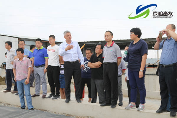 京鹏环宇畜牧客户走进北欧农庄及丹育种电子游艺网站
