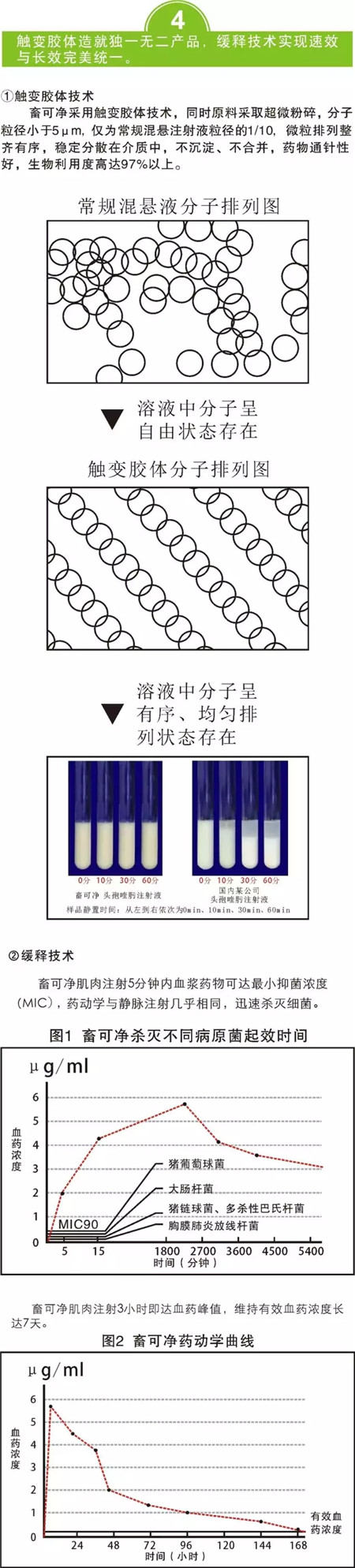新品上市震撼登场——畜可净（硫酸头孢喹肟注射液）