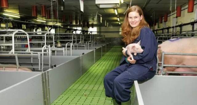 关于电子游艺网站
排污，德国养电子游艺网站
如何“善后”？