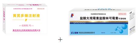 这五种猪病你不得不防！十个电子游艺网站
9个中招！