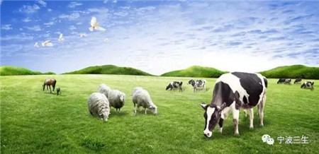 厉害了！宁波三生是上半年成功注册新兽药最多的企业之一