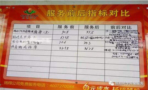 养猪，你算清楚帐了吗？养好猪，做好这几点很关键！