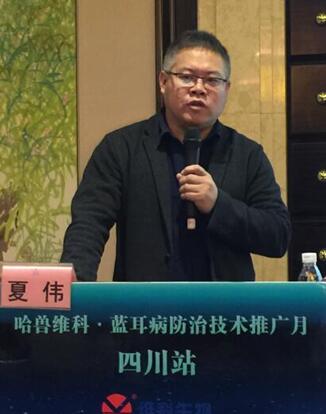 2017上半年中国猪业疫病流行趋势面面观