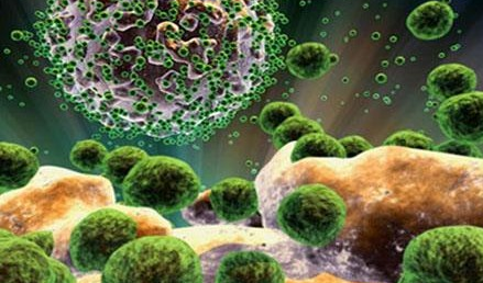  欧洲“毒鸡蛋”事件还未平息，最近英国又曝出更“劲爆”的新闻：英格兰公共卫生局发现“×超市销售的香肠和火腿可能导致戊型肝炎”。