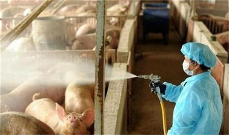  把这电子游艺网站
常见的错误几个改了，养猪不赚钱都难！