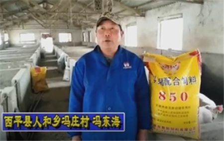  谁说拆迁不能养！河南老冯说当前养猪正当时